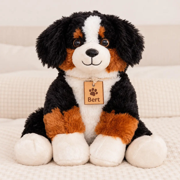 Bert - Berner Sennenhond