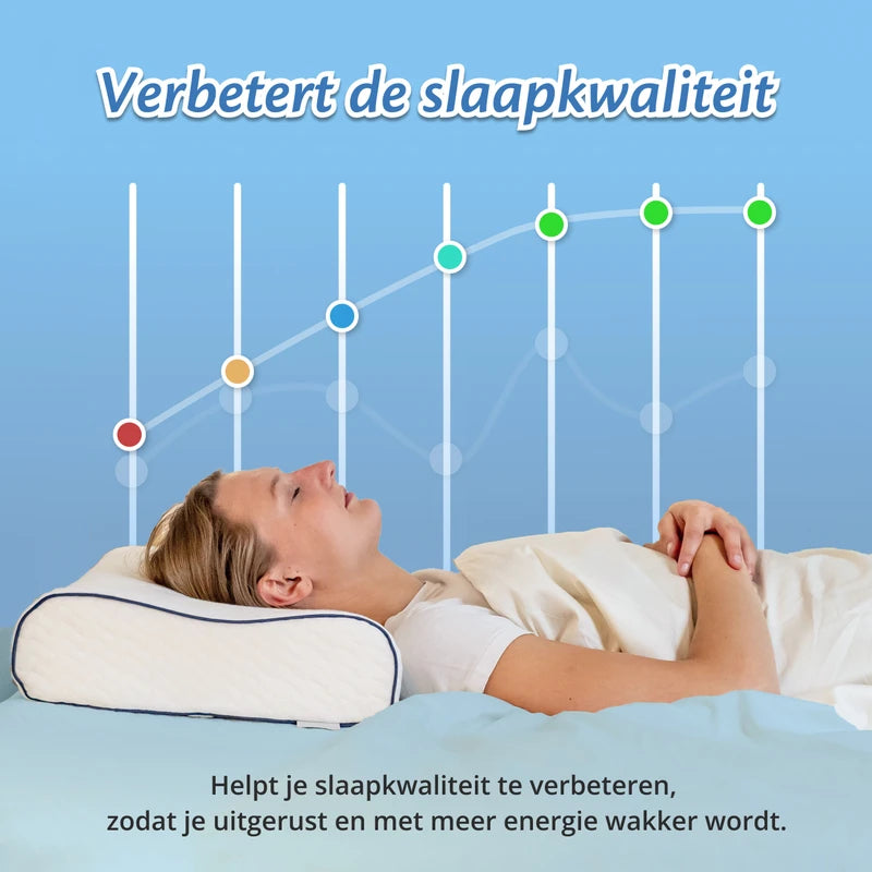Ella Orthopedic Cushion
