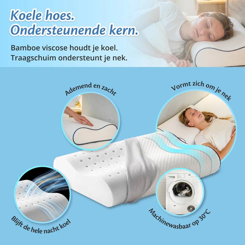 Ella Orthopedic Cushion