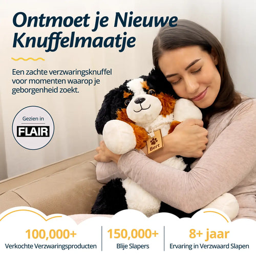 Bert - Berner Sennenhond